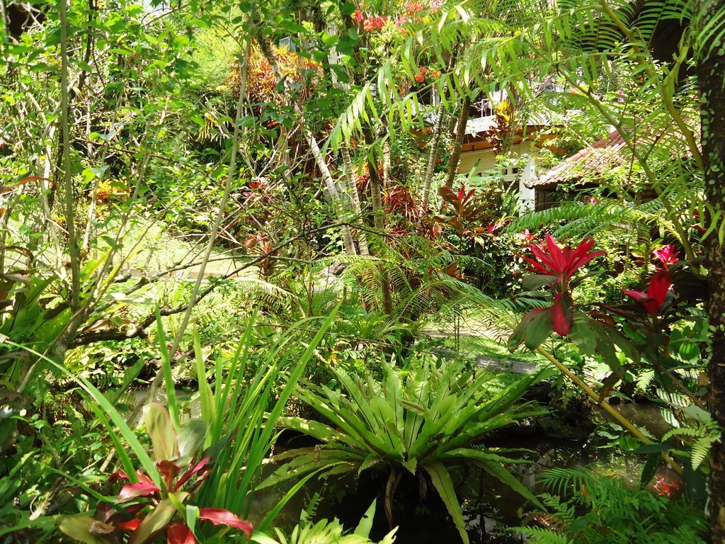 Gusti'S Garden Bungalows Ubud  Luaran gambar